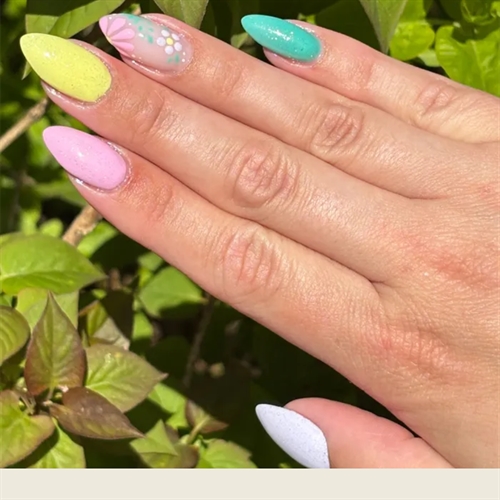 Summer Flower 🌸